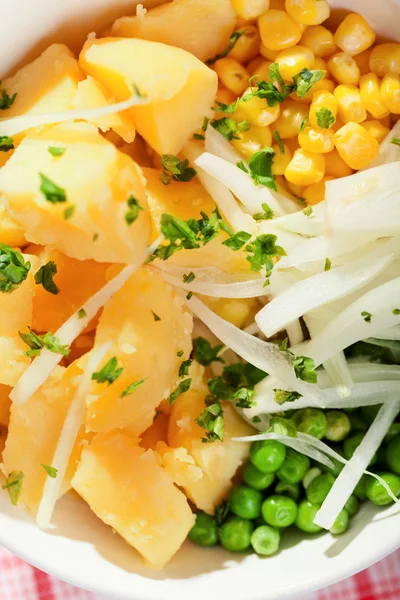 Salada de batata com legumes — Fotografia de Stock
