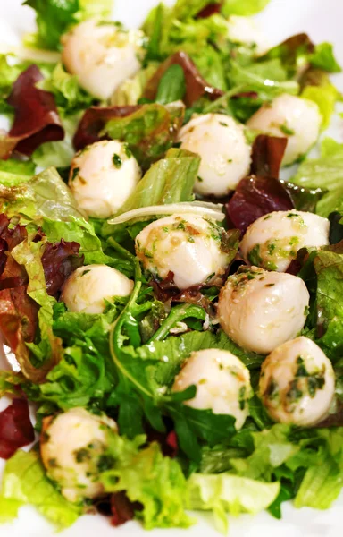 Insalata verde con mozzarella bambino — Foto Stock