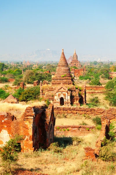 Bagan manzarası, Myanmar — Stok fotoğraf