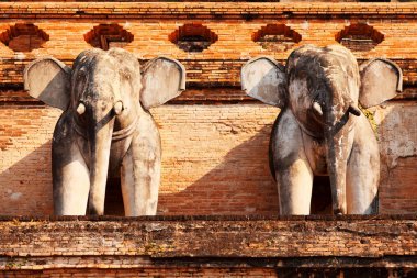 WAT chedi luang Tapınak, Tayland