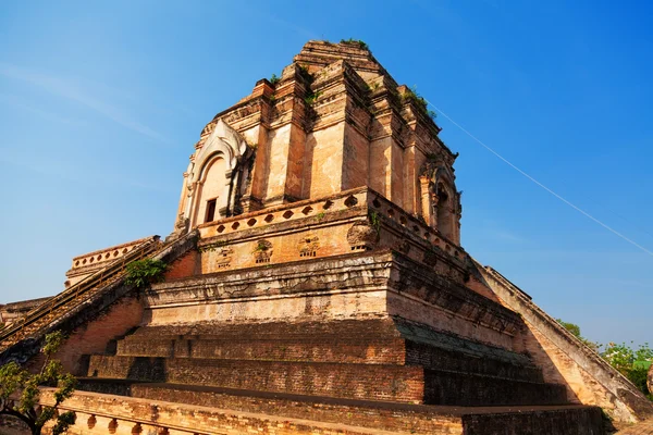 Wat chedi luang Tempel, chiang mai — Stockfoto