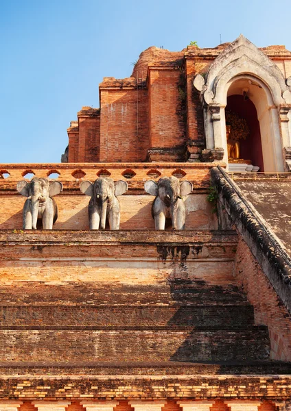 Wat Chedi Luang, Τσιάνγκ Μάι — Φωτογραφία Αρχείου