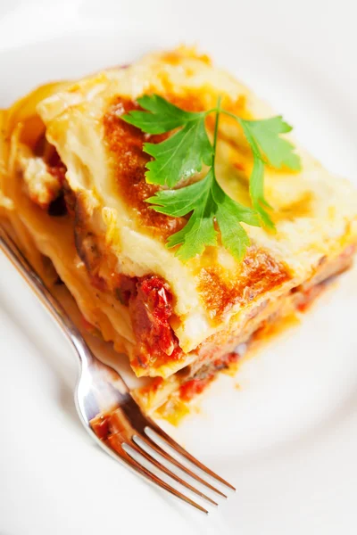 Lasagnes italiennes typiques — Photo