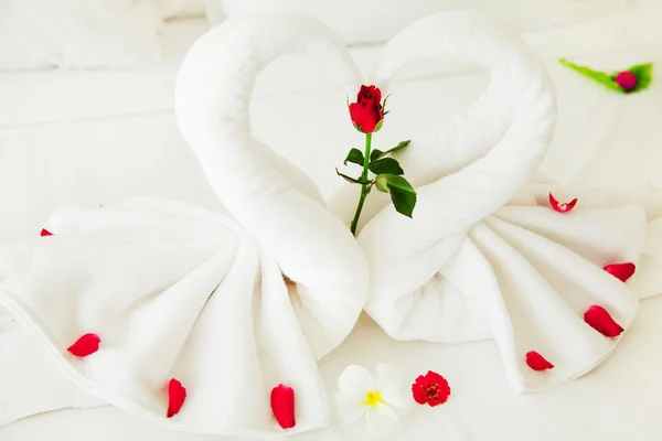 Toalla corazón de cisne en la cama — Foto de Stock