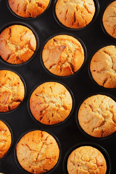 Muffins i ugnsform — Stockfoto