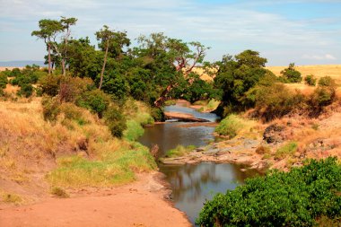 Masai Mara 'da nehir