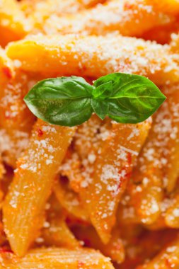 Krem ve biber ile Penne