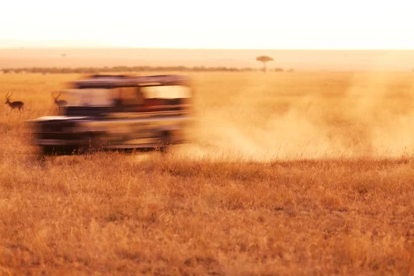 Safari Jeep en movimiento — Foto de Stock