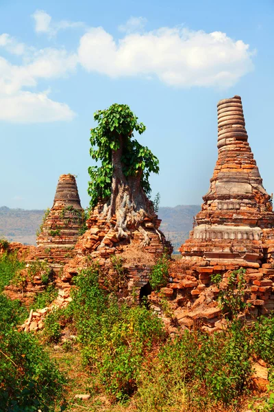 Sagar, Inle Gölü, Myanmar — Stok fotoğraf