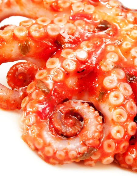 Octopus with tomato sauce — Stock Photo, Image