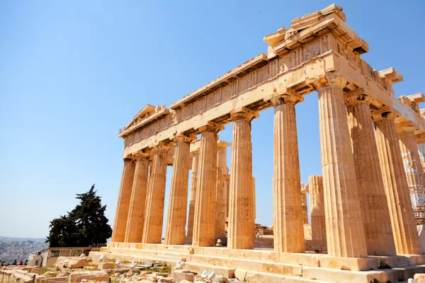 Parthenon v Akropoli, athens — Stock fotografie