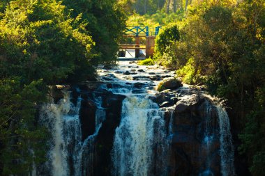Thomson Falls Kenya