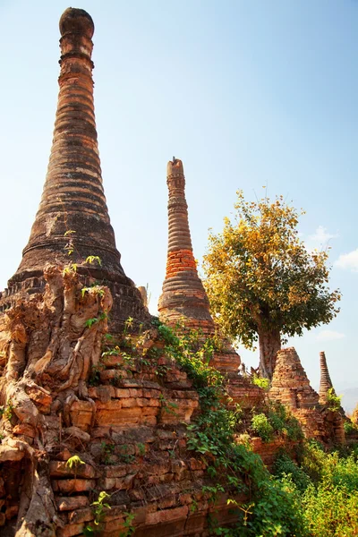 Stupas 사가, 미얀마 — 스톡 사진