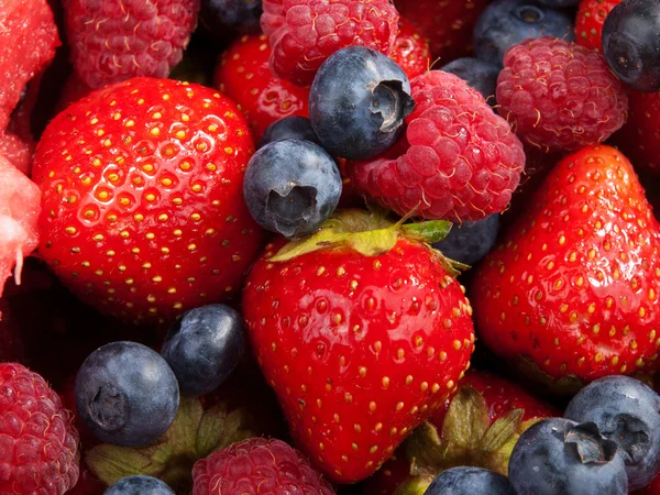 Ripe fresh  Berries — Stock Photo, Image