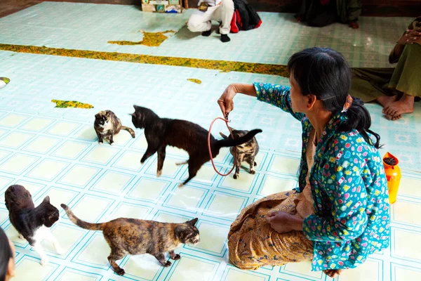 跳猫修道院、 缅甸 — 图库照片