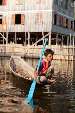 Birman boy tipik Kano içinde
