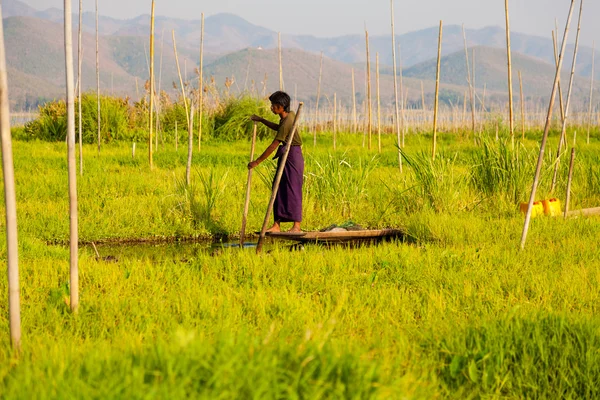 Drijvende tuinen in Inlemeer, Myanmar — Stockfoto