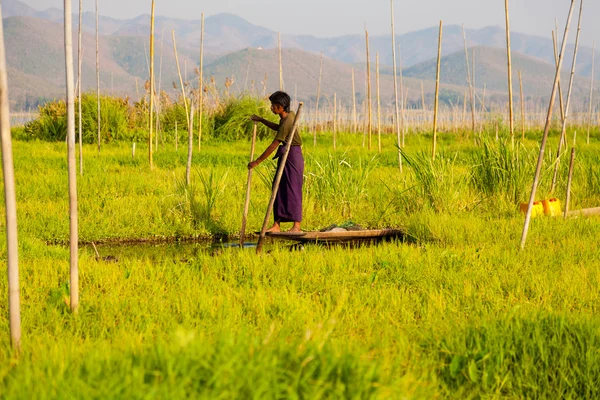 Lebegő kertek Inle Lake, Mianmar — Stock Fotó