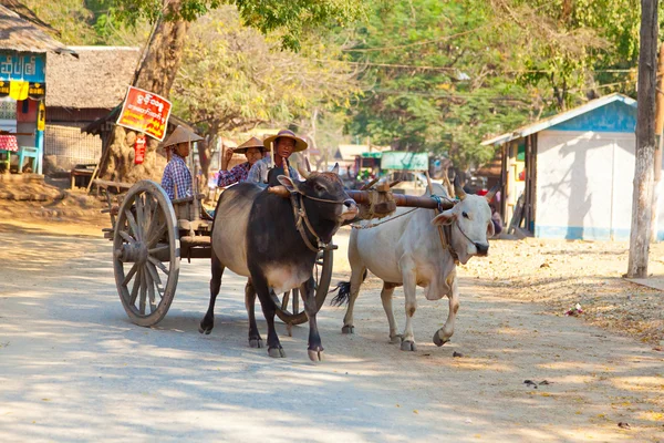 Mingun、ミャンマーの牛車 — ストック写真