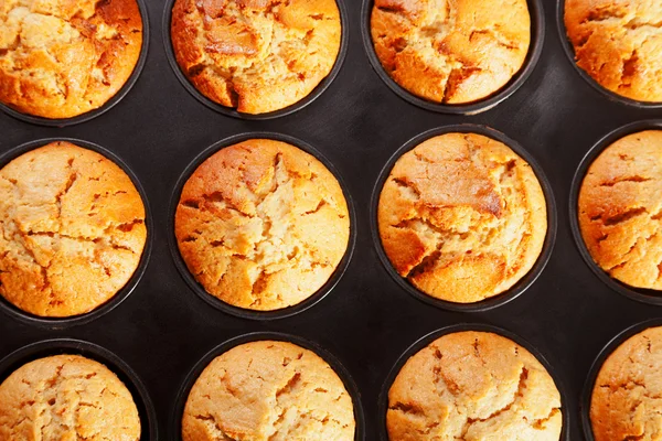 Muffins in baking dish — Stock Photo, Image