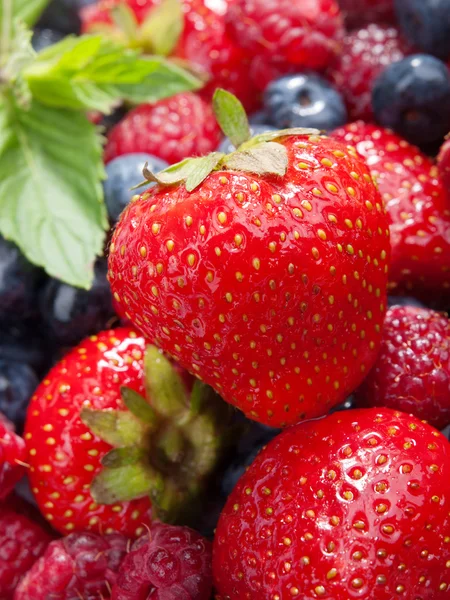 Berries, close up — Stock Photo, Image