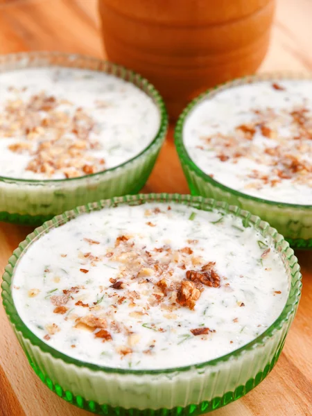 Bulgarian tarator famous traditional soup — Stock Photo, Image