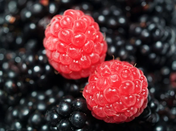 Raspberries and blackberries — Stock Photo, Image