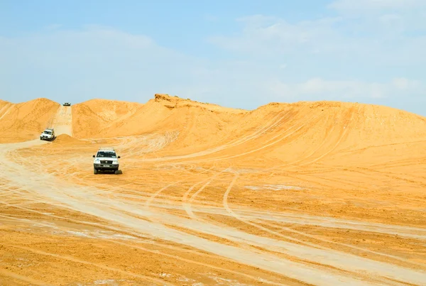 Safari no deserto do Saara — Fotografia de Stock