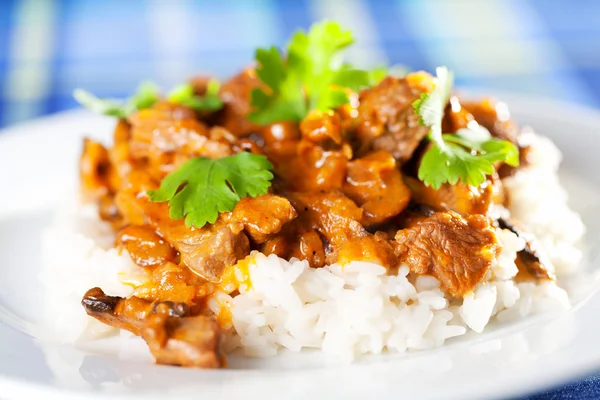 Curry de cerdo con arroz — Foto de Stock