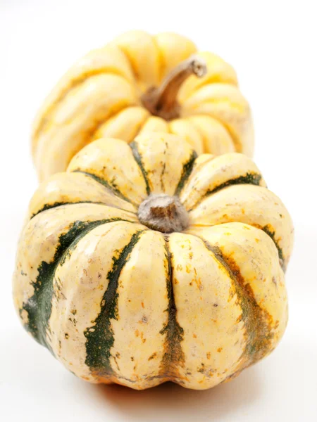 Two pumpkins isolated on white — Stock Photo, Image