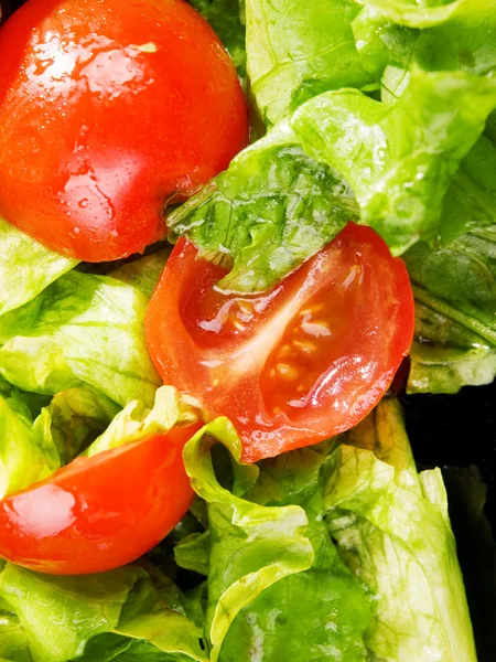 Tomato and lettuce salad — Stock Photo, Image