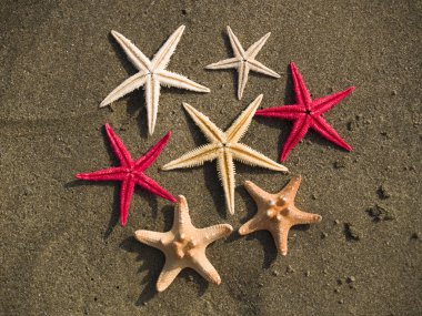 Renk Starfishes Plajı'nda