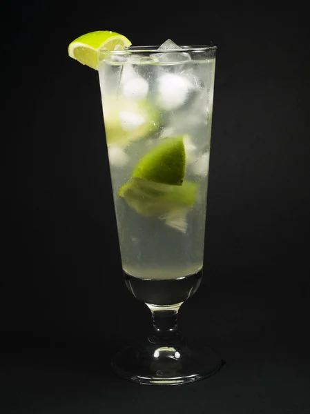 Cocktails Collection - Gin Rickey — Stock Photo, Image