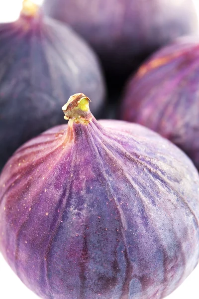 Feigen isoliert auf weiß — Stockfoto