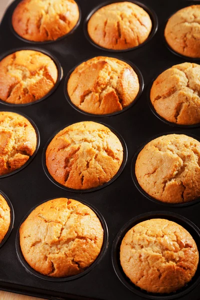 Muffins pişirme çanağı içinde — Stok fotoğraf