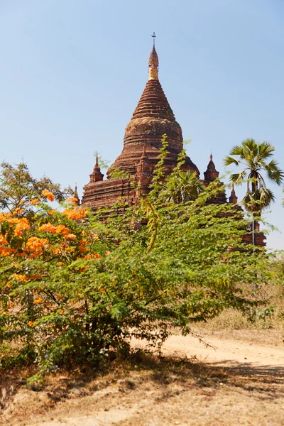 Starożytne pagody w bagan, myanmar — Zdjęcie stockowe