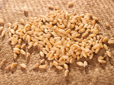 Buğday taneleri yakın çekim