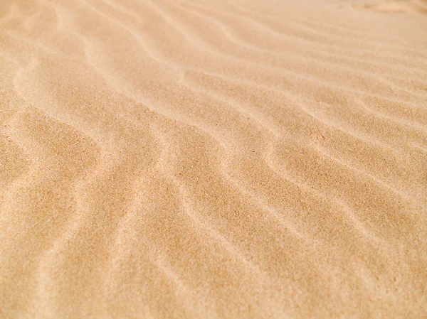 Fundo da duna de areia — Fotografia de Stock