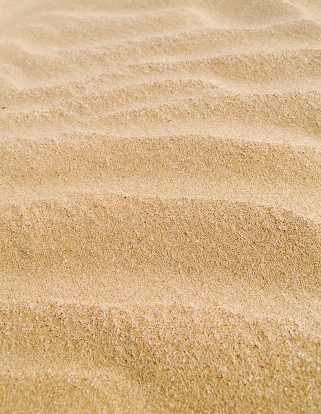 Sandklitbaggrund - Stock-foto