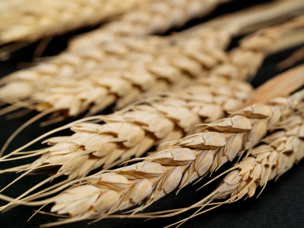 Raw wheat close up — Stock Photo, Image