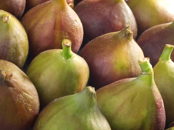 Batata de figos madura — Fotografia de Stock