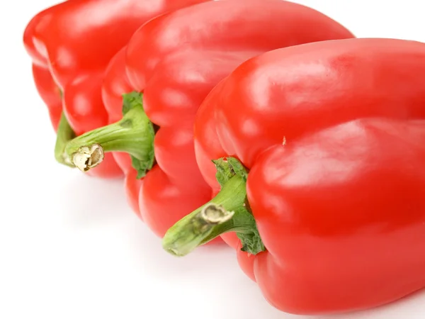 Red peppers on white — Stock Photo, Image