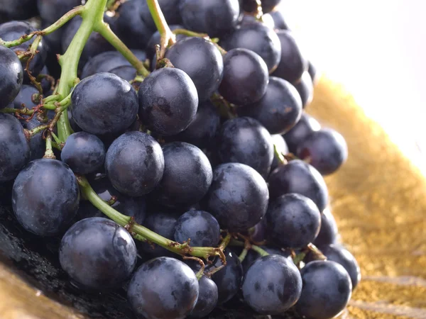 Ripe blue grape — Stock Photo, Image