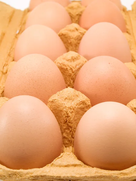 Raw Eggs on tray — Stock Photo, Image