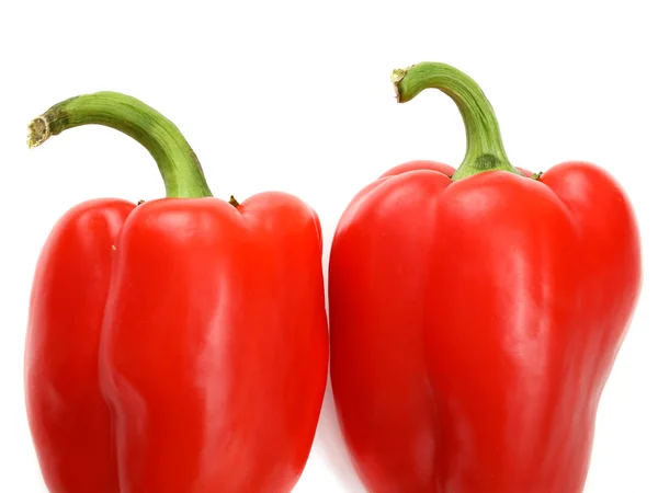 Два красных перца — стоковое фото
