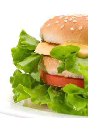 Hamburger biftek ve peynir ile