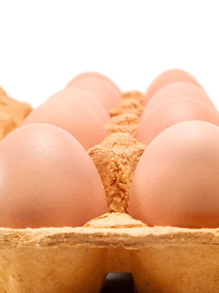 Raw Eggs on tray — Stock Photo, Image