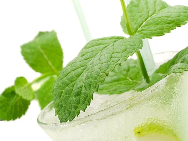 Collezione Cocktail - Mojito — Foto Stock