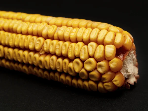 Kukurydza na czarnym tle — Zdjęcie stockowe