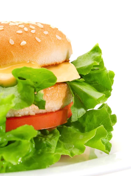 Hamburger with steak, cheese, tomatoes — Stock Photo, Image